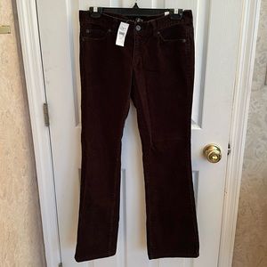 COPY - Ann Taylor Loft corduroy jeans brown color modern boot low rise 6P